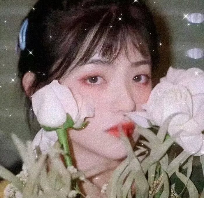 诱惑者的日记