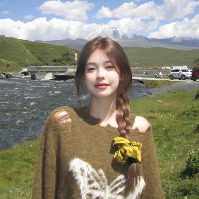 少年林肯